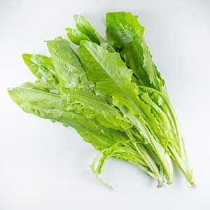 A菜