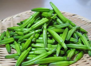金針菜