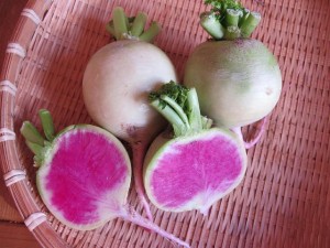 赤芯大根