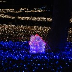 クリスマスのイルミネーション!家でも飾り方が簡単なものは?