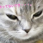 つり目を治す方法って?克服した5人に直接聞いてみた!