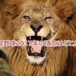 高校野球2017の夏の優勝候補はここ！注目校を見逃してない？