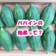 パパインの4つの効果が凄すぎ！知らない女性は損をする？